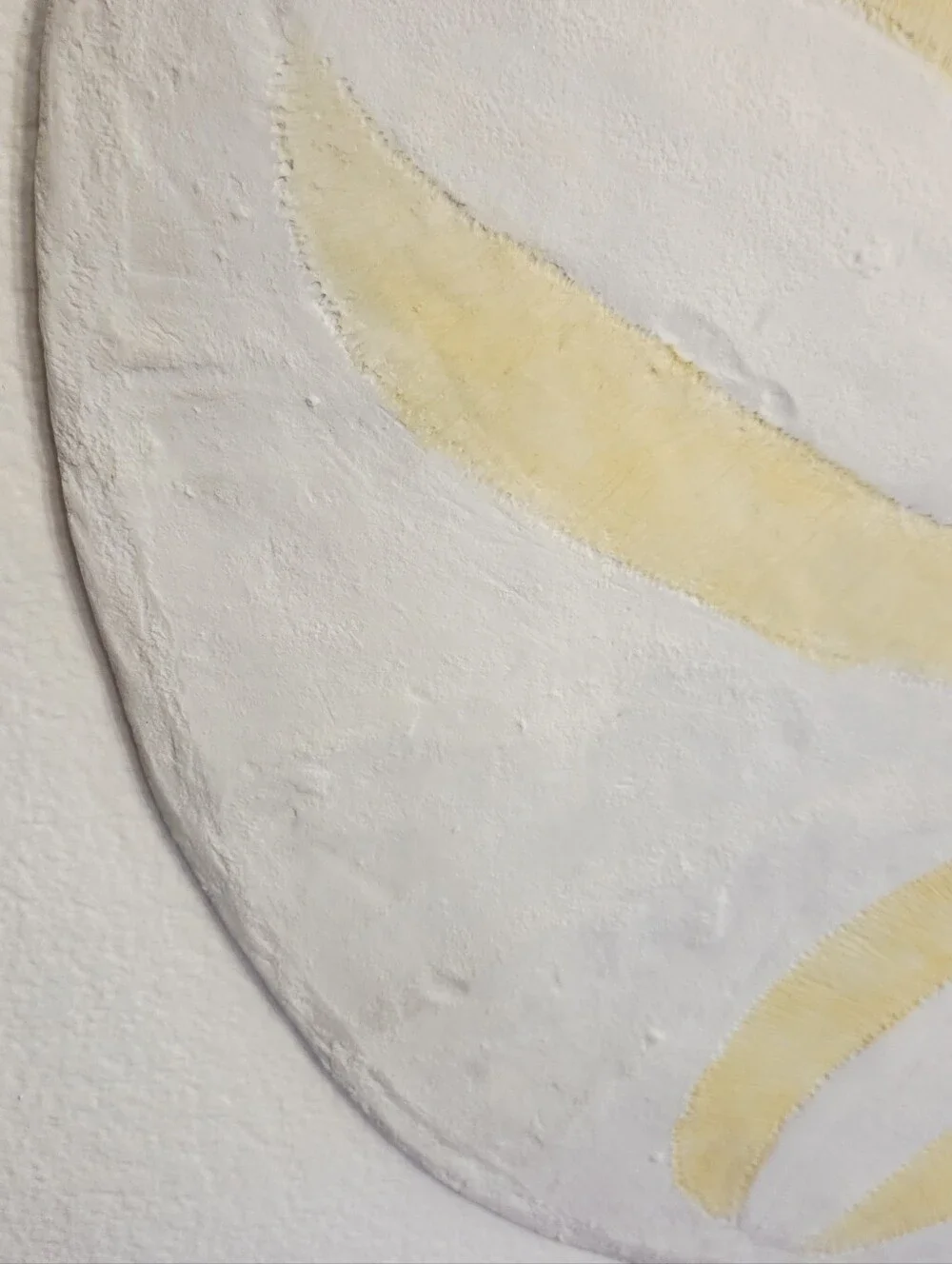 Jumbo Huge Pottery Barn Oversized Sand Dollar Coastal Beach Wall Art Rare